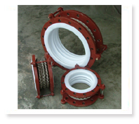 PTFE Bellows