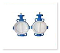 Ptfe Butterfly Valve, Ptfe Butterfly Valve Manufacturer, Ptfe Butterfly Valve Exporter, Mumbai, India