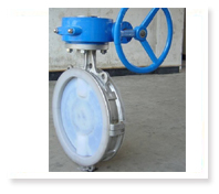 PTFE butterfly valve