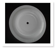 PTFE Diaphragm